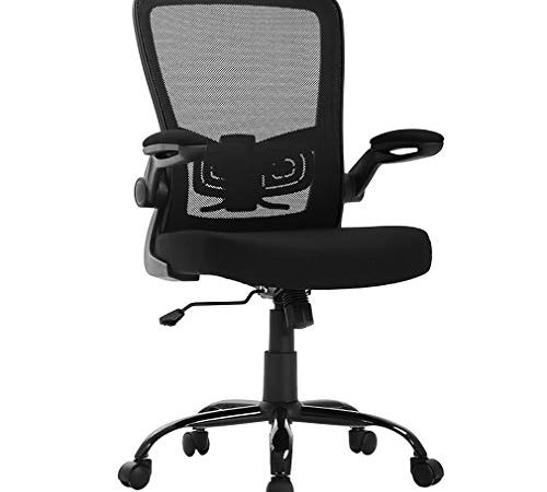 Ergonomic Mesh Office Chair Swivel Chair Computer Chair with Lumbar Support Adjustable Task Chair for Men and Women Mesh Desk...