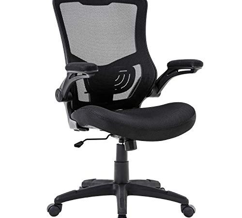 Home Office Chair Mesh Computer Chair with Arms Computer Chair with Lumbar Support Adjustable Task Chair for Men and Women...