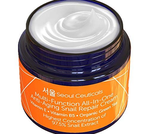 Korean Skin Care Snail Repair Cream - Korean Moisturizer Night Cream 97.5% Snail Mucin Extract - All In One Recovery Power...