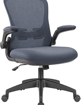 Mesh Computer Chair with Lumbar Support, Home Office Chair Desk, Ergonomic Office Chair, Adjustable Backrest and Flip-up...