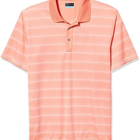 PGA TOUR Men's Big & Tall Short Sleeve Striped Polo Shirt