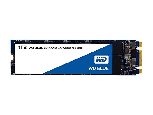 Western Digital 1TB WD Blue 3D NAND Internal PC SSD - SATA III 6 Gb/s, M.2 2280, Up to 560 MB/s - WDS100T2B0B