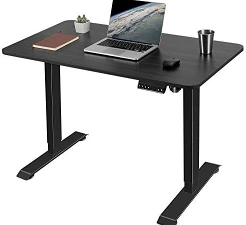 Greesum Electric Height Adjustable Home Office Standing Desk, Modern Design 43-Inch Computer Table...