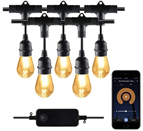 HBN Smart Outdoor Dimmable Patio Light LED Smart String Light - 48ft, 24 Edison Bulbs, 2.4 GHz Only, Works with Alexa/Google...