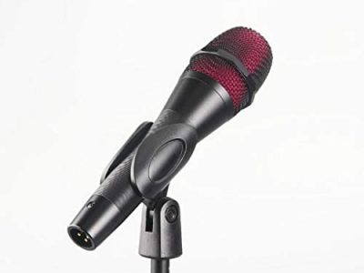 WSSBK Condenser Handheld Microphone Karaoke PC Launchpad DJ Computer Live Mic This is a Real...