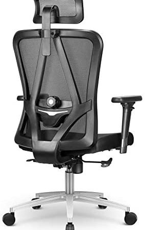 mfavour Ergonomic Office Chair Swivel Desk Chair with Lumbar Support Ergonomic Chair with Wheels...