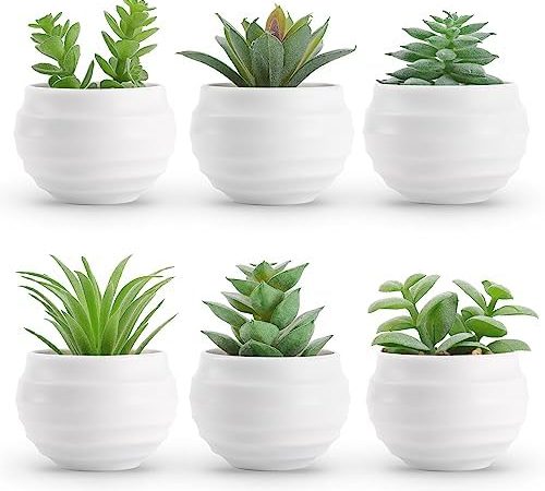 Der Rose Set of 6 Succulents Plants Artificial in Pots Small Fake Plants for Bedroom Aesthetic...