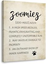 Dog Wall Decor, Zoomies Dog Definition Framed Canvas Wall Art, Gift for Dog Lover Mom Onwer, Pet...