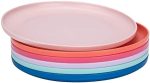 Durable and Reusable 9.75-inch Colored Plastic Dinner Plates set for Parties, Set of 6, Dishwasher...