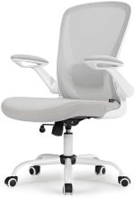 EUREKA ERGONOMIC Ergonomic Office Chair, Comfortable Office Chair with Lumbar Support, Breathable...