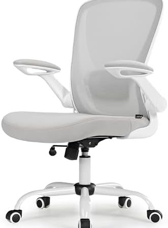 EUREKA ERGONOMIC Ergonomic Office Chair, Comfortable Office Chair with Lumbar Support, Breathable...