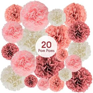 EpiqueOne 20 Piece Tissue Paper Pom Poms | Blush Pink, Dusty Rose, Mauve & Cream | Colorful Paper...
