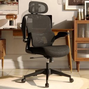 Ergonomic Mesh Office Chair, High Back Desk Chair with Adjustable Lumbar Support, Flip-Up Arm,...