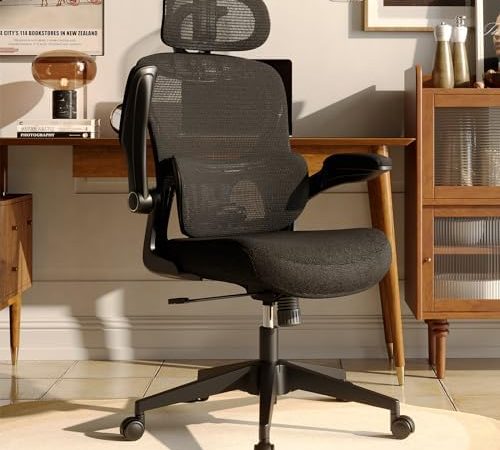 Ergonomic Mesh Office Chair, High Back Desk Chair with Adjustable Lumbar Support, Flip-Up Arm,...