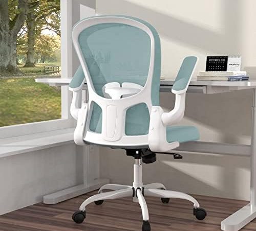 Ergonomic Office Chair, Comfort Swivel Home Office Task Chair, Breathable Mesh Desk Chair, Lumbar...