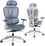 Ergonomic Office Chair with Lumbar Support, High Back Home Office Chairs with Adjustable Seat Depth,...
