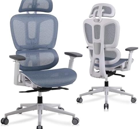 Ergonomic Office Chair with Lumbar Support, High Back Home Office Chairs with Adjustable Seat Depth,...