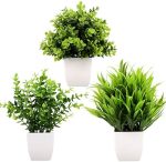 GREENTIME 3Pack Mini Fake Plants in Pots,Artificial Plastic Eucalyptus Plants,Wheat Grass Potted...