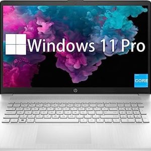 HP 17.3 Inch Business Laptop, 11th Gen Intel Core i3-1125G4, Windows 11 Pro, 16GB RAM, 1TB SSD,...