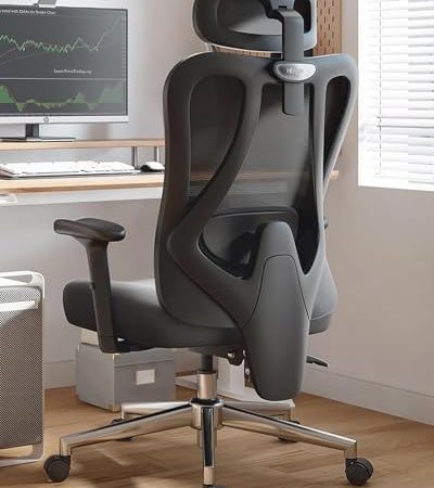 Hbada Office Chair with 2D Adjustable Lumbar Support, Ergonomic Office Chair with Adjustable...