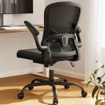 Marsail Office Chair Ergonomic-Desk Chair: Mesh Back Home Office Chair with Adjustable Lumbar...