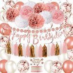 Rose Gold and Pink Birthday Party Decorations Set with Happy Birthday Banner,DIY Cake Topper,Circle...