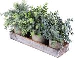 Set of 3 Mini Potted Artificial Eucalyptus Plants Faux Rosemary Plant Assortment with Wood Planter...