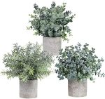 Winlyn Set of 3 Mini Potted Artificial Eucalyptus Plants Plastic Fake Green Rosemary Plant for Home...