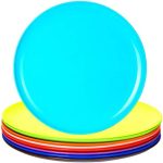Youngever 10 Inch Plastic Plates, Large Plates, Dinner Plates, Set of 9 (9 Rainbow Colors)