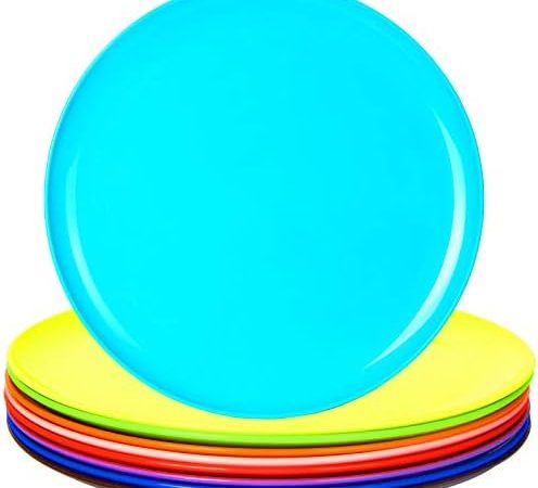 Youngever 10 Inch Plastic Plates, Large Plates, Dinner Plates, Set of 9 (9 Rainbow Colors)