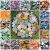 Raw Rough Natural Stones: Choose Type (Gemstone Reiki Crystal Specimen) LIST A
